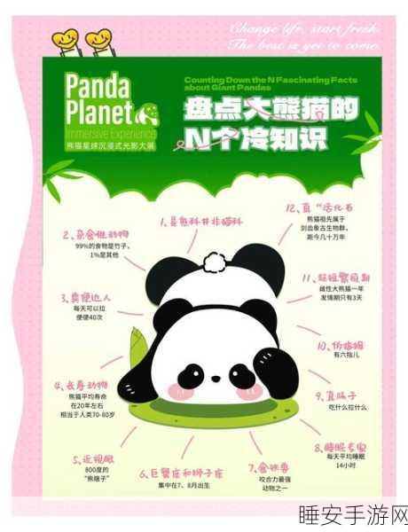 灵魂潮汐大熊猫饲养指南,解锁萌宠养成新乐趣