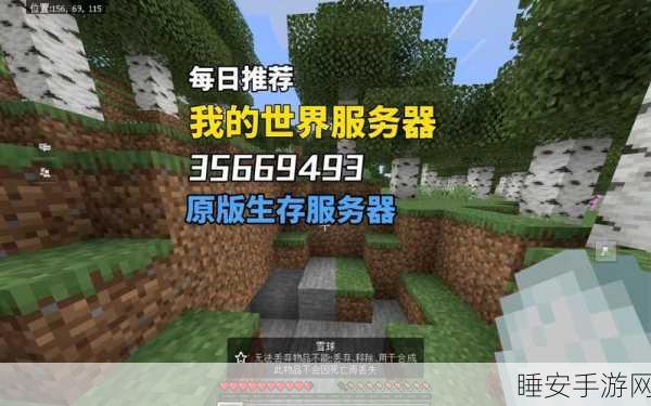 探索我的世界工业服务器,ID背后的无限可能