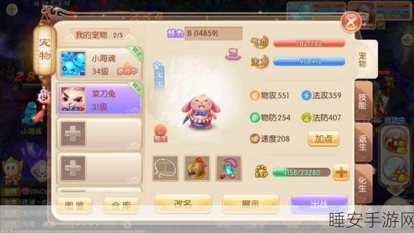 梦幻诛仙深度解析,揭秘极品宠物的养成奥秘
