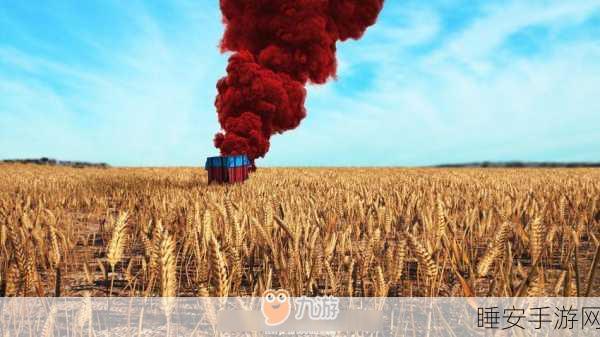 绝地求生,异地登录红信解锁全攻略与赛事细节揭秘