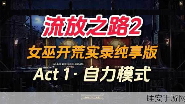 流放之路,解锁游戏新境界,插件多样性与应用深度解析