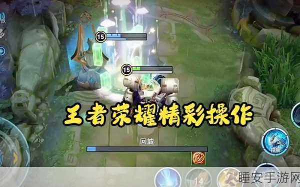 王者荣耀顶尖攻略，盾山最强出装与战术实战深度剖析