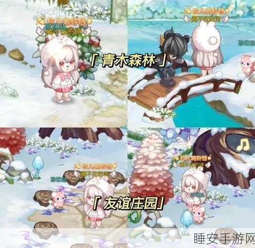 口袋妖怪红宝石,揭秘超梦技能学习全攻略