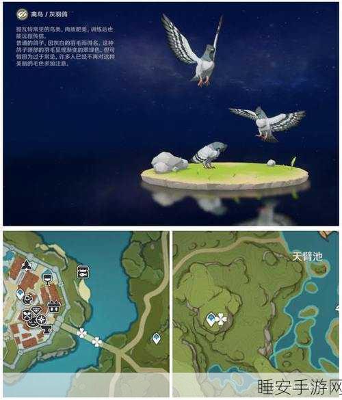 探秘原神洞天百宝，解锁你的尘歌壶宝藏指南