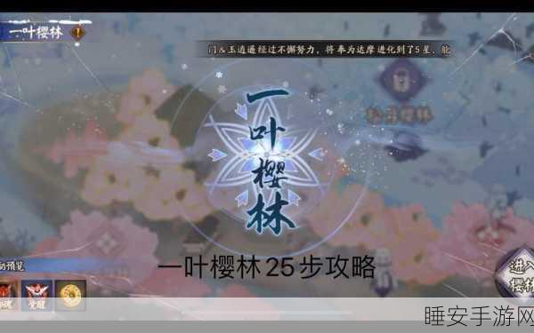 阴阳师雪落樱祭深度攻略,解锁全路线与实战心得揭秘