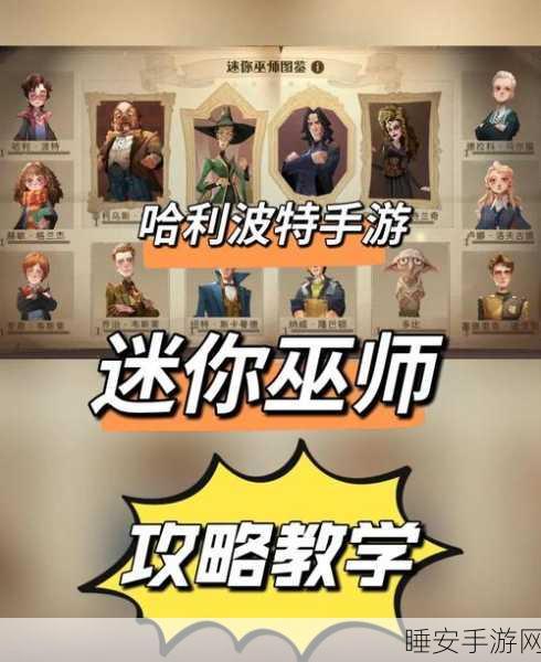 哈利波特手游深度解析,女巫与巫师的身份之谜
