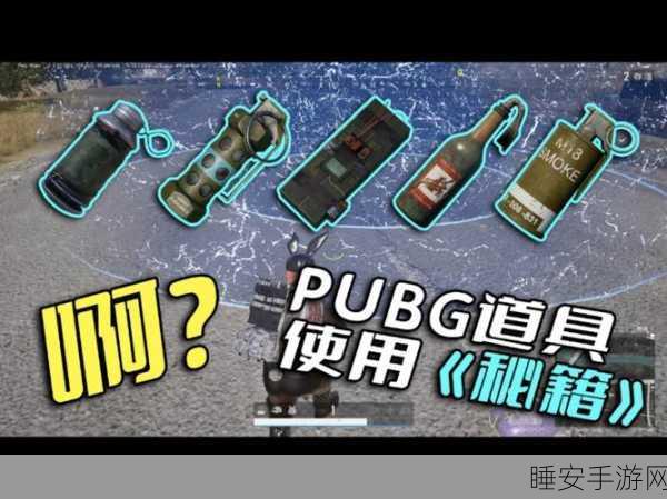绝地求生深度解析,揭秘空投枪的无尽魅力与实战秘籍