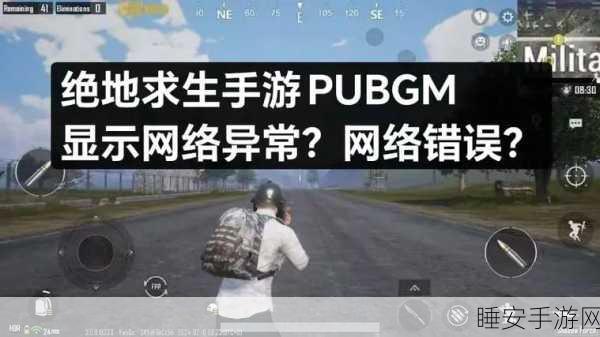 手机无法畅玩绝地求生,刺激战场?原因与解决方案揭秘