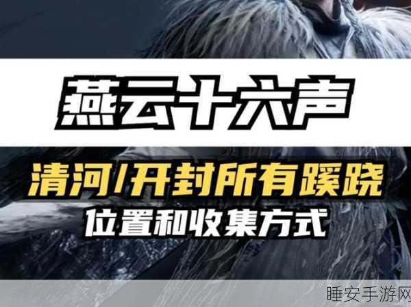 探秘燕云十六声,猫猫石头坑位置全解析及游戏趣闻