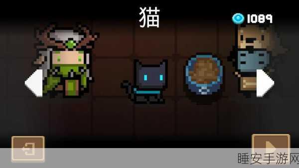 元气骑士宠物喂养秘籍,解锁宠物成长新篇章