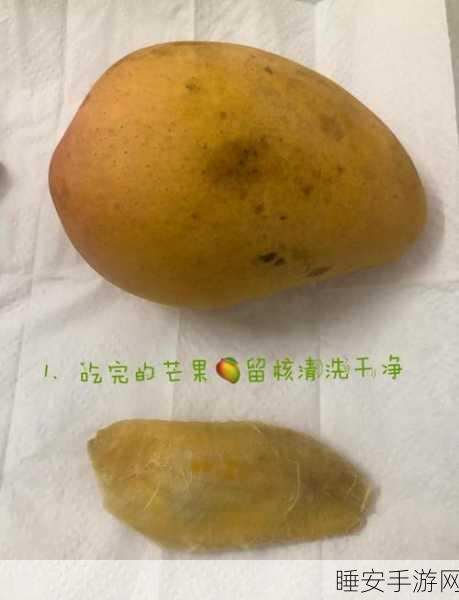 芒果飘香,星露谷致富秘籍,芒果树最佳种植攻略大揭秘