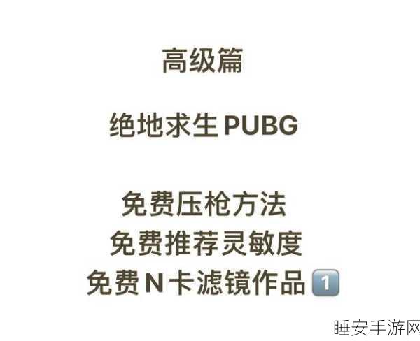 绝地求生L城制胜秘籍,深度解析与实战攻略