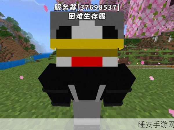 我的世界MinEMC服务器IP大全,探索无限创意的奇妙之旅