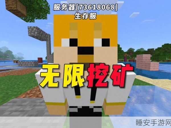 我的世界MinEMC服务器IP大全,探索无限创意的奇妙之旅