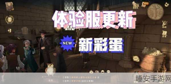 哈利波特手游攻略,揭秘轻松获取1000宝石的绝妙方法