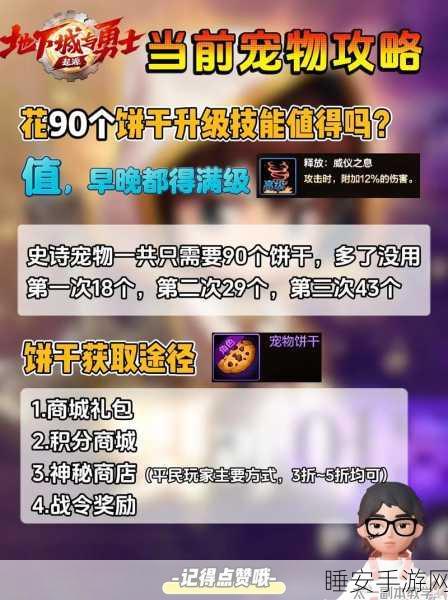 DNF手游宠物收集秘籍,商城、副本到活动,全方位解锁萌宠攻略