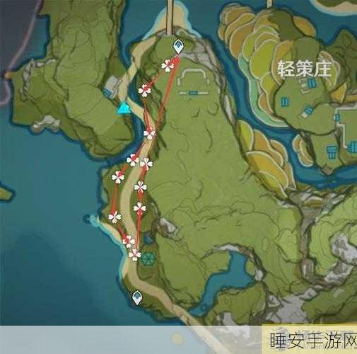 原神柽木速刷攻略,揭秘高效采集路线与技巧,助你赢在起跑线!
