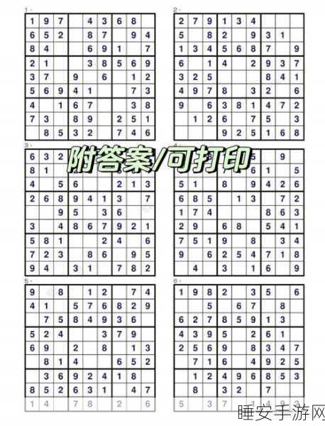 纸嫁衣3谜题大揭秘,九宫格数独移动算数顺序全攻略