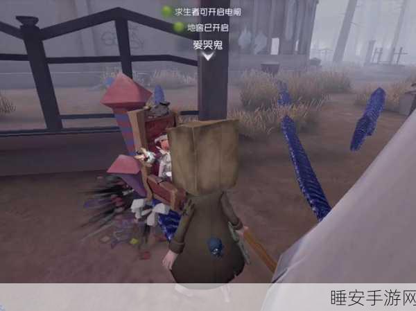 揭秘第五人格爱哭鬼的秘密花园,温情挑战与哀伤剧情深度解析
