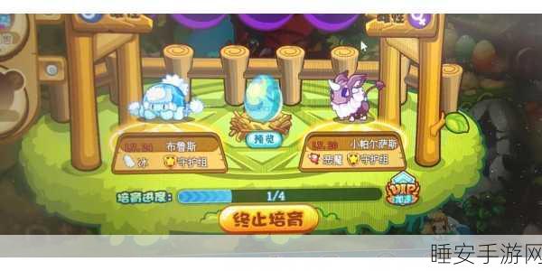 洛克王国高手攻略,布鲁斯极速成长秘籍与实战路线