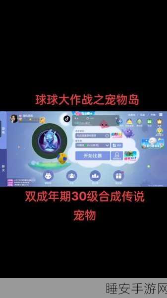 球球大作战,揭秘宠物岛神秘入口与探险攻略
