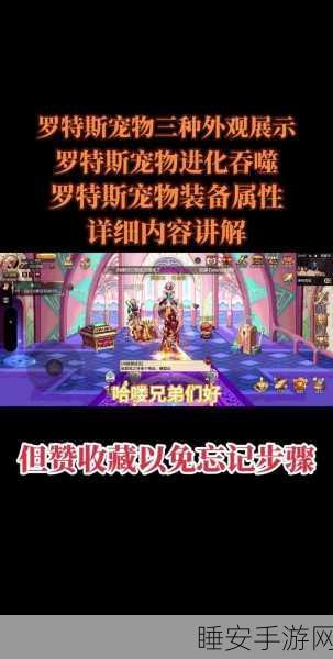 DNF手游罗特斯宠物进化深度攻略,解锁宠物战力巅峰的秘籍