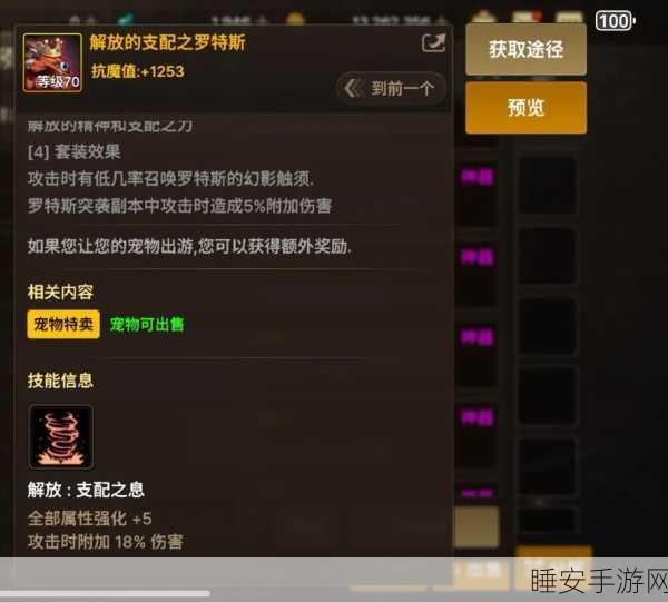 DNF手游罗特斯宠物进化深度攻略,解锁宠物战力巅峰的秘籍