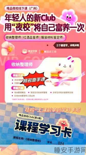 全职收纳师手游最新版上线,解锁多样组织技巧,打造你的收纳王国!