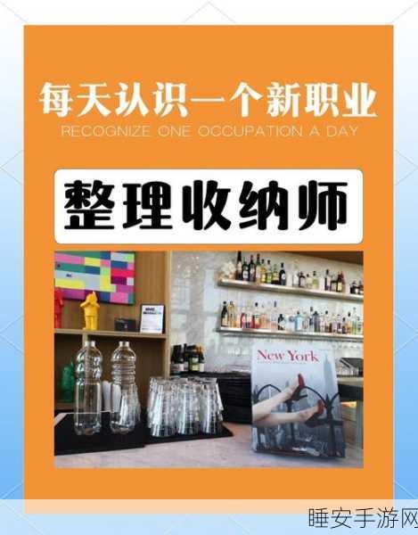 全职收纳师手游最新版上线,解锁多样组织技巧,打造你的收纳王国!