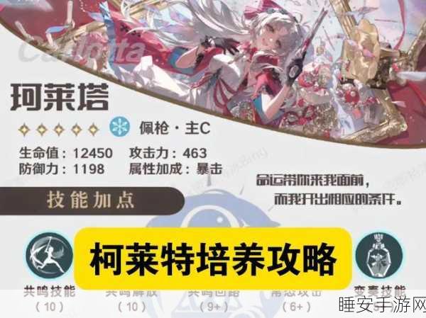原神柯莱角色深度解析,圣遗物词条选择全攻略,助你战场称雄!