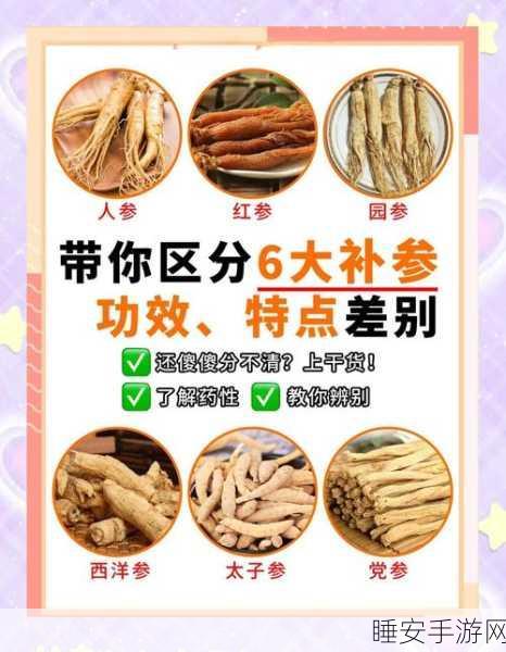 造梦西游3人参获取攻略,解锁珍稀药材的秘籍