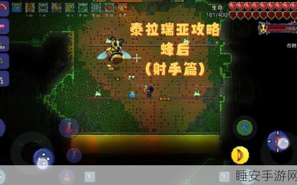 泰拉瑞亚揭秘,解锁暗影奥秘皇家马格南的终极攻略