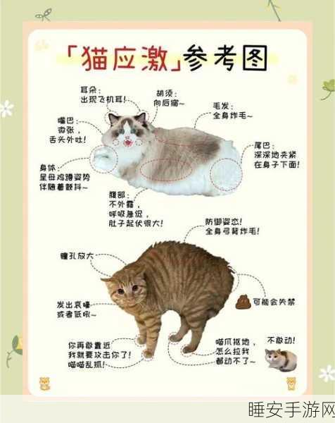 萌宠来袭!猫咪点击合成消除闯关游戏全解析