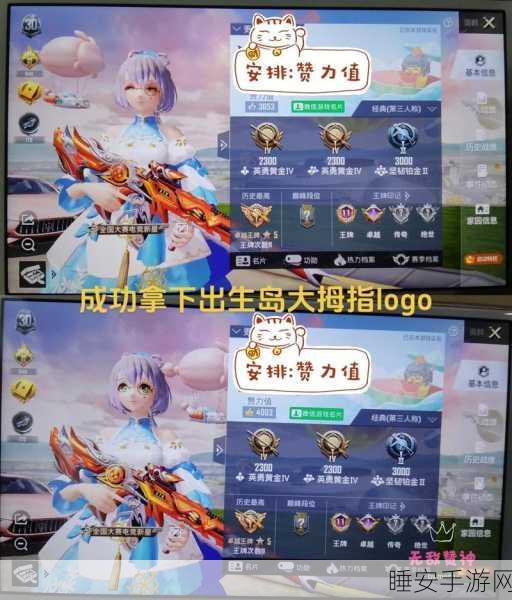 和平精英标签添加攻略,个性化你的游戏名片,提升社交魅力!