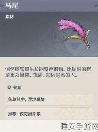 原神马尾采集秘籍,高效速刷点大揭秘,助你轻松满载而归