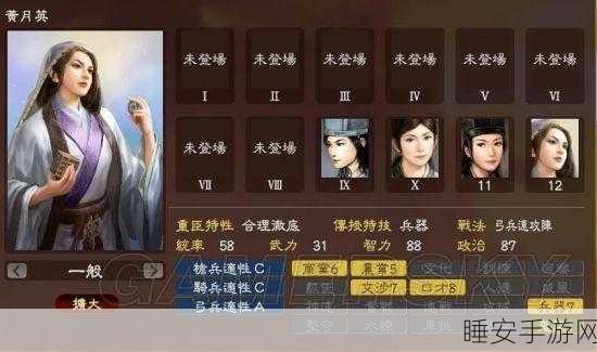 三国志13深度解析,战法、策略与智慧的巅峰对决