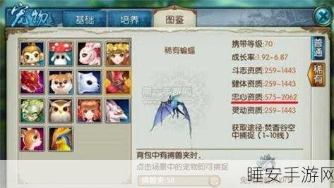 诛仙手游青云门宠物优选攻略,加点搭配与实战技巧揭秘