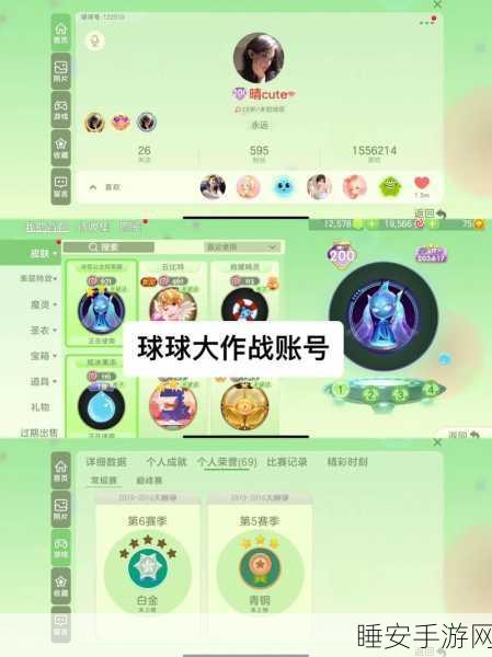 球球大作战,会员等级晋升全攻略,解锁更多游戏特权!