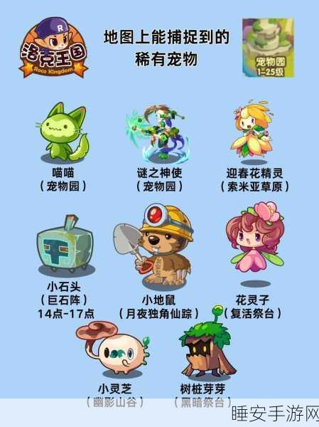 洛克王国探险新篇,骇浪深湾全攻略,解锁神秘宝藏与稀有宠物