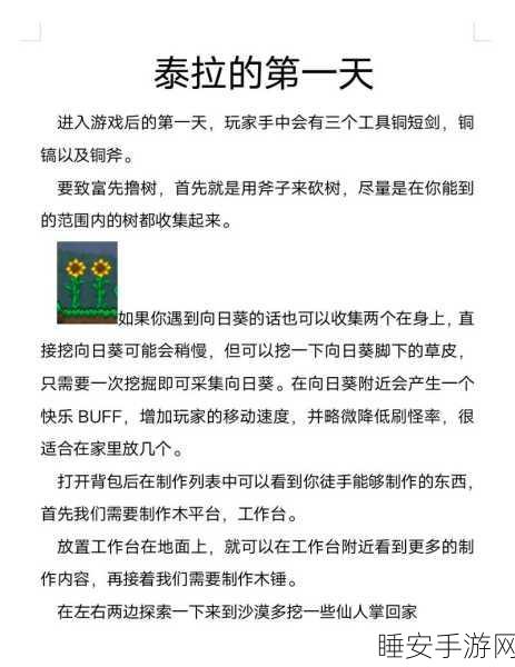 泰拉瑞亚全物品解锁终极指南,深度攻略与称霸技巧揭秘