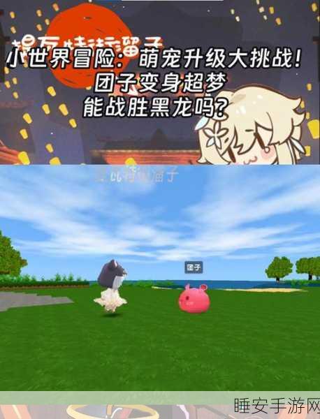 迷你世界冒险终极挑战,揭秘黑龙之战的荣耀征程