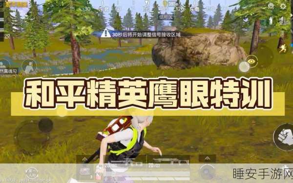 和平精英鹰眼特训模式深度攻略,精准选址与战斗技巧大揭秘