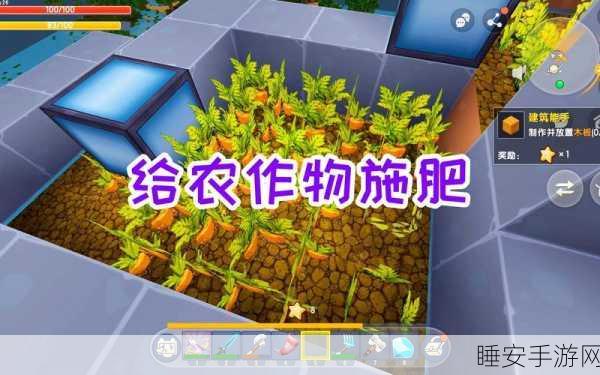迷你世界养鸡秘籍,高效引诱与养殖技巧大揭秘