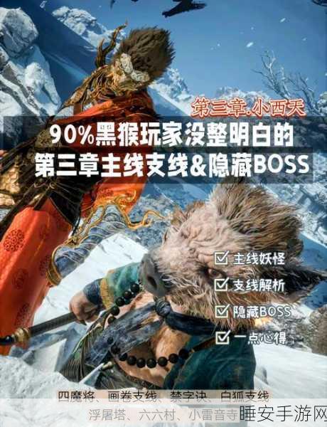 黑色沙漠手游攻略,揭秘库尼特·杜培勒曼的获取之道
