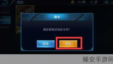 王者荣耀观战功能全解析,如何观战好友精彩对决?