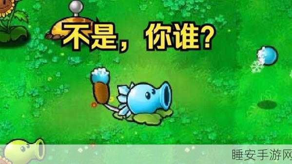 益智游戏利弊谈,玩植物大战僵尸真的有害吗?