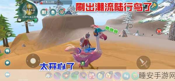 手游新纪元，创造与魔法陆行鸟大赛最新追踪报道