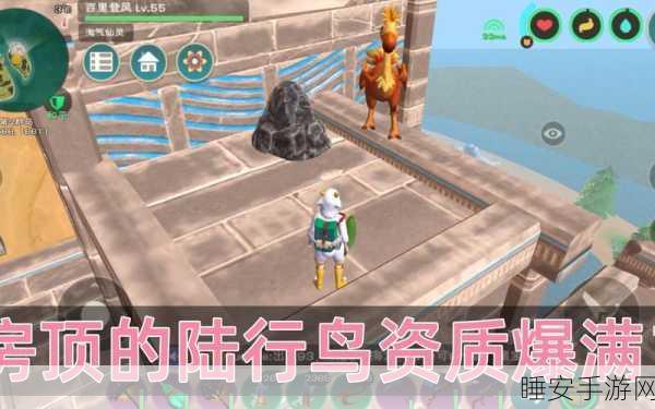 手游新纪元,创造与魔法陆行鸟大赛最新追踪报道