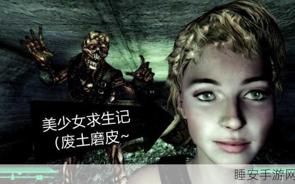 辐射3僵尸任务终极攻略,新手进阶,解锁轻松通关秘籍!