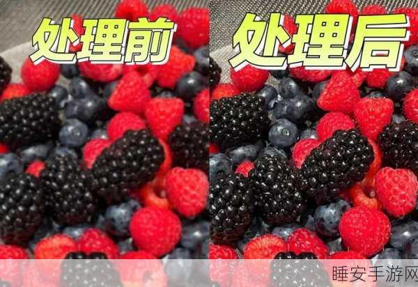 废土危行,解锁浆果汤烹饪秘籍,生存者的营养救星!